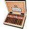 Robusto 20er Kiste offen