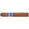 Blue Robusto 2