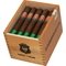 J Robusto Kiste offen