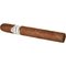 Toro Stick 2