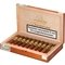 Short Robusto Kiste offen