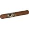 Toro Stick 3