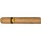 La Rica Robusto Tubo Detail