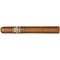 Perdomo Lot 23 Connecticut Churchill