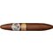 AVO Limited Editions Unexpected Tour Edition East