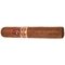 Antonius Robusto