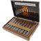 Laura Chavin Terre de Mythe Grand Robusto Kiste offen