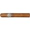 Perdomo Lot 23 Connecticut Toro