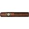 Perdomo 20th Anniversary Maduro Gordo