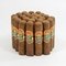 Robusto Breve Bundle