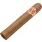 Robusto schräg 2