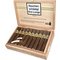 AVO Classic Robusto Kiste offen
