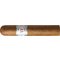 VegaFina Short Robusto