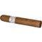 VegaFina Classic Robusto