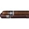 Dunhill Signed Range Robusto TUBOS