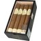 Classic Corona 7er Kiste offen