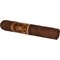 Oliva Serie V Double Robusto