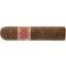 Rosa Nicaragua 460 (4x60)