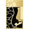 Fender schwarz/gold frontal