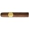 Camacho Special Edition H 3
