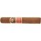 Villiger 1888 Robusto