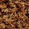 Vauen Pfeifentabak Tradition No. 1 100g Schmuckdose Schnitt