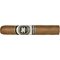 Rome Robusto stick