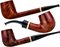 Jirsa Premia Red-Brown
